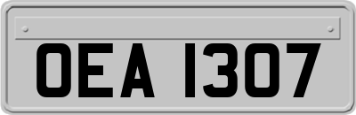 OEA1307