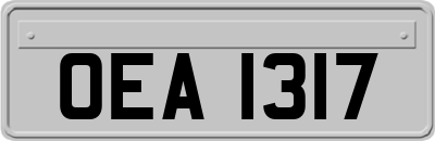 OEA1317