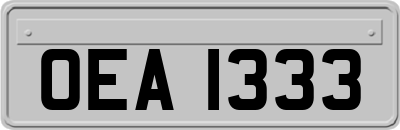 OEA1333