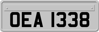 OEA1338