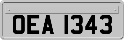 OEA1343