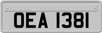 OEA1381