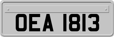 OEA1813