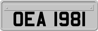OEA1981