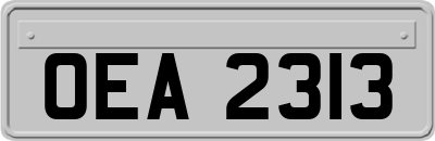 OEA2313