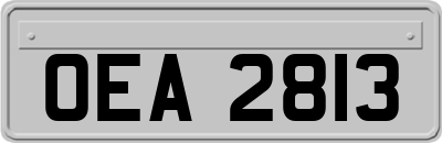 OEA2813
