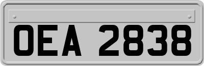 OEA2838