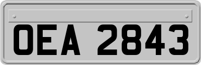 OEA2843