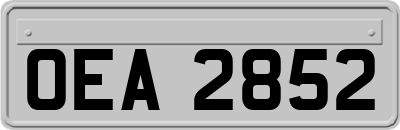 OEA2852