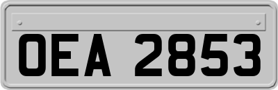 OEA2853