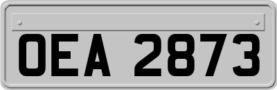OEA2873