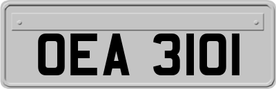 OEA3101