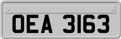 OEA3163