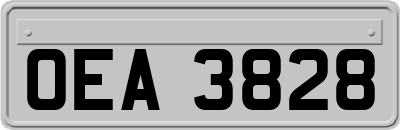 OEA3828