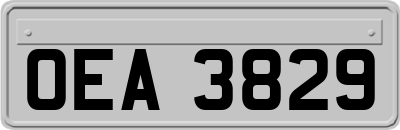 OEA3829