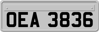 OEA3836