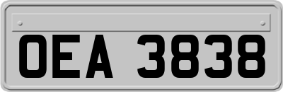 OEA3838