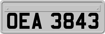 OEA3843