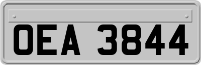 OEA3844