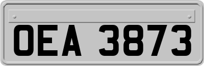 OEA3873