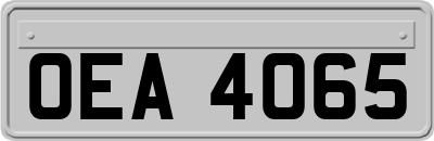 OEA4065