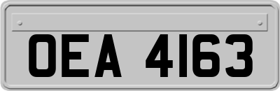 OEA4163