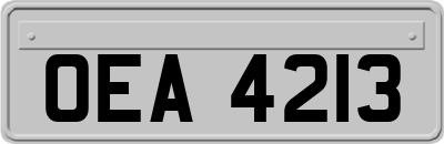 OEA4213