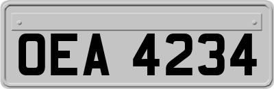 OEA4234