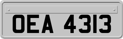OEA4313