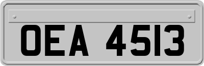 OEA4513