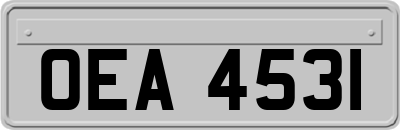 OEA4531