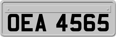 OEA4565
