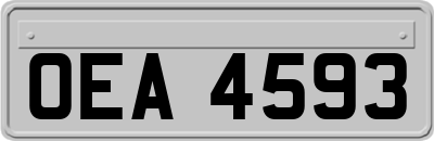 OEA4593