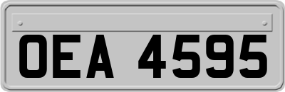 OEA4595