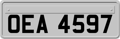 OEA4597