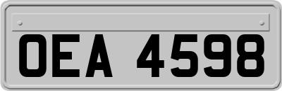 OEA4598