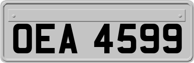 OEA4599