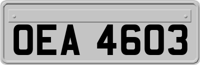 OEA4603