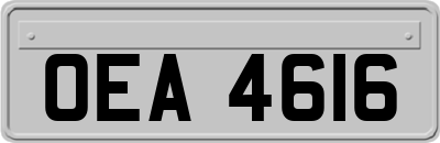 OEA4616