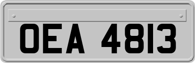 OEA4813