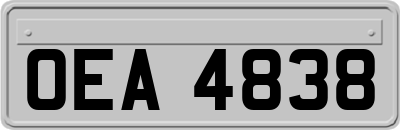 OEA4838