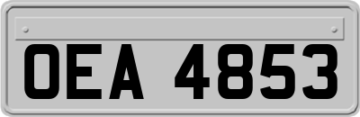 OEA4853