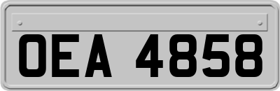 OEA4858