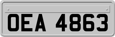 OEA4863