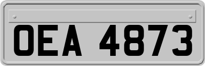 OEA4873