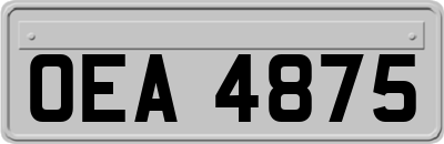 OEA4875
