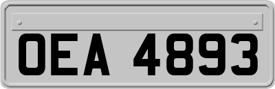 OEA4893