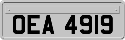 OEA4919