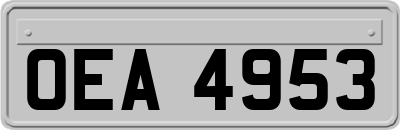 OEA4953