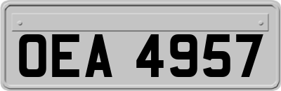 OEA4957